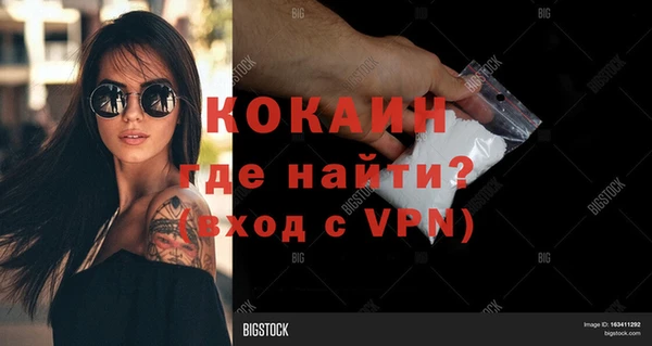 дживик Володарск
