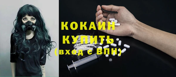 дживик Володарск