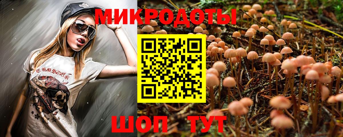 Галлюциногенные грибы Magic Shrooms Мончегорск
