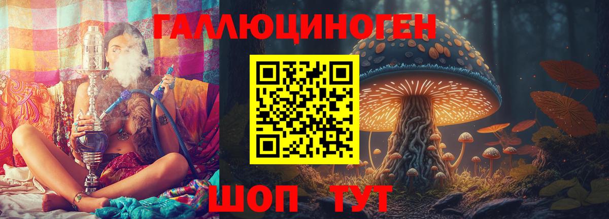 Галлюциногенные грибы Psilocybine cubensis  Вход с VPN  сколько стоит  Мончегорск 